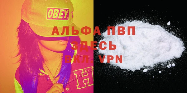 альфа пвп Медвежьегорск