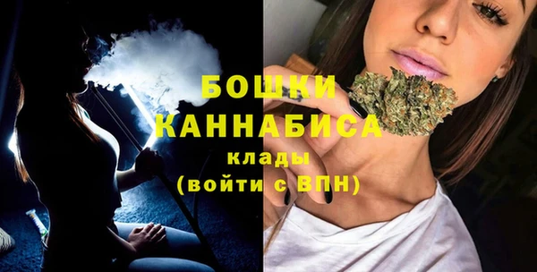 альфа пвп Медвежьегорск