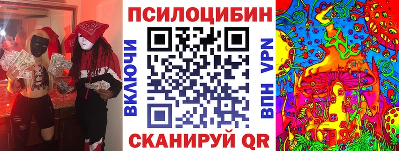 сайты даркнета как зайти  Ужур  Галлюциногенные грибы Psilocybe  закладка 